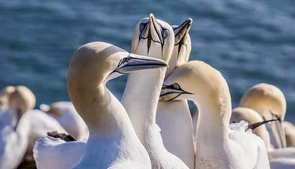 天天盈球在线-小罗将于1月底到访贵州，参加村超相关活动